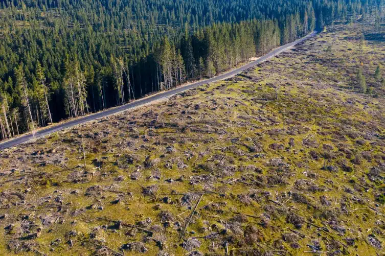 ammattimaiset dronepalvelut metsatalous
